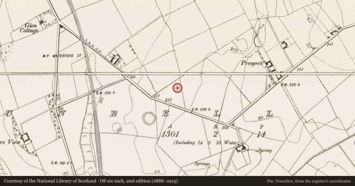 Ordnance Survey six-inch map, 2nd edition (1888–1915) covering the location of Enclosure, Dunbell Big, County Kilkenny, with a pin at the register's coordinates