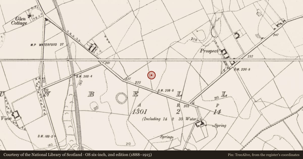 Ordnance Survey six-inch map, 2nd edition (1888–1915) covering the location of Enclosure, Dunbell Big, County Kilkenny, with a pin at the register's coordinates