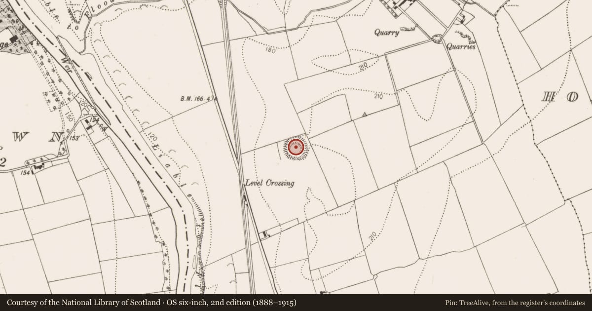Ordnance Survey six-inch map, 2nd edition (1888–1915) covering the location of Ringfort - rath, Dunbell Big, County Kilkenny, with a pin at the register's coordinates