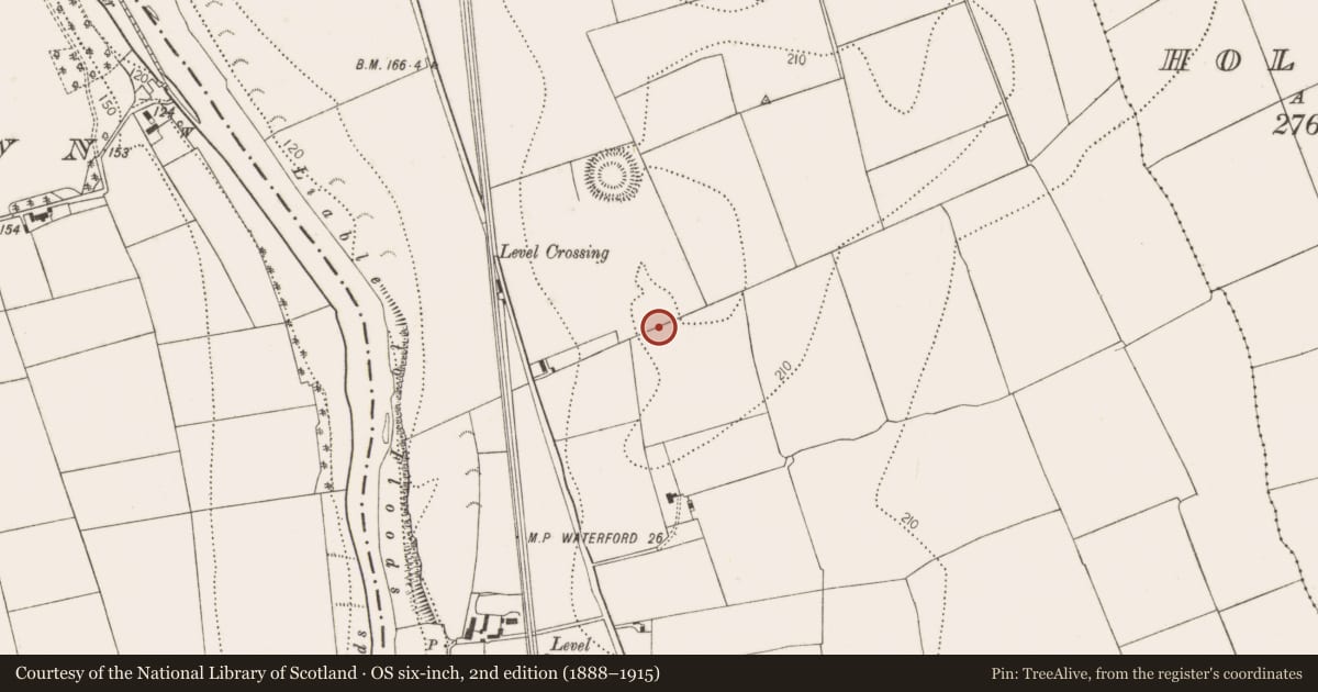Ordnance Survey six-inch map, 2nd edition (1888–1915) covering the location of Enclosure, Dunbell Big, County Kilkenny, with a pin at the register's coordinates