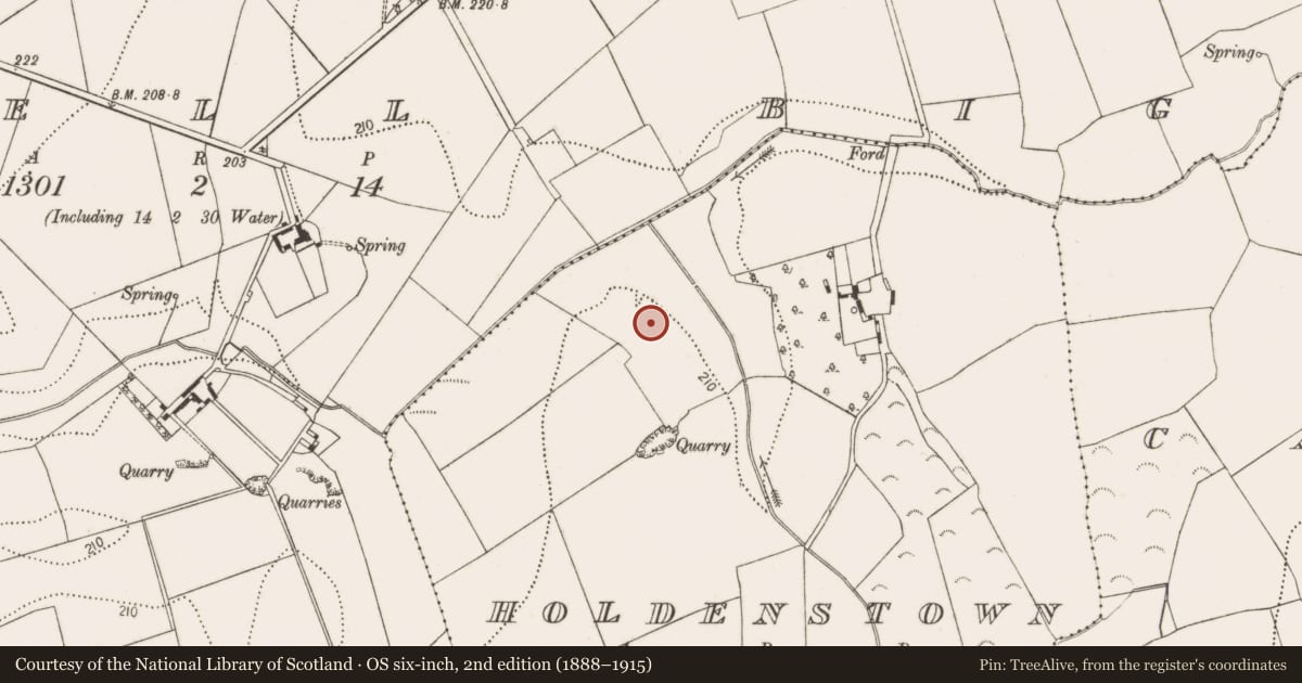 Ordnance Survey six-inch map, 2nd edition (1888–1915) covering the location of Church, Holdenstown, County Kilkenny, with a pin at the register's coordinates