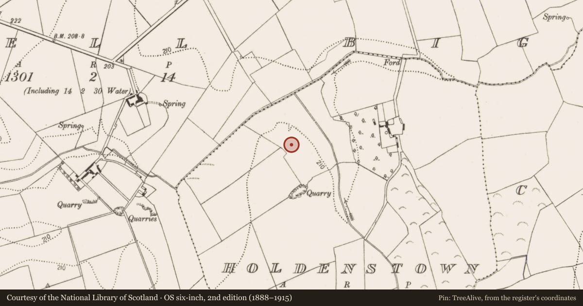 Ordnance Survey six-inch map, 2nd edition (1888–1915) covering the location of Ecclesiastical enclosure, Holdenstown, County Kilkenny, with a pin at the register's coordinates