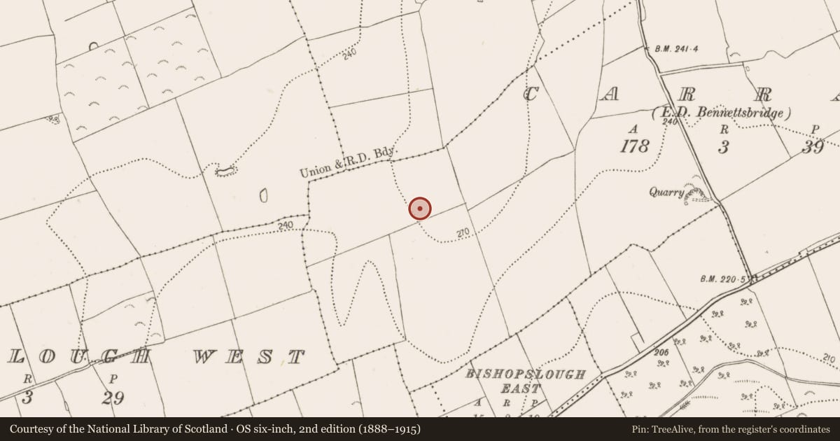 Ordnance Survey six-inch map, 2nd edition (1888–1915) covering the location of Road - road/trackway, Carran, County Kilkenny, with a pin at the register's coordinates