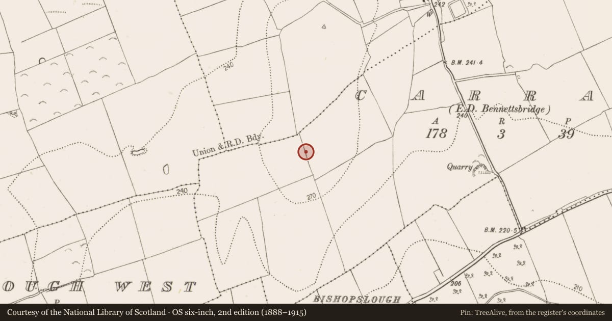 Ordnance Survey six-inch map, 2nd edition (1888–1915) covering the location of Cairn - unclassified, Carran, County Kilkenny, with a pin at the register's coordinates