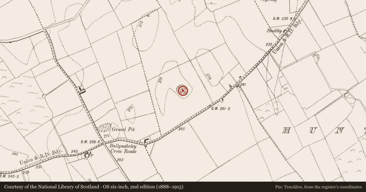 Ordnance Survey six-inch map, 2nd edition (1888–1915) covering the location of Henge, Clashwilliam, County Kilkenny, with a pin at the register's coordinates