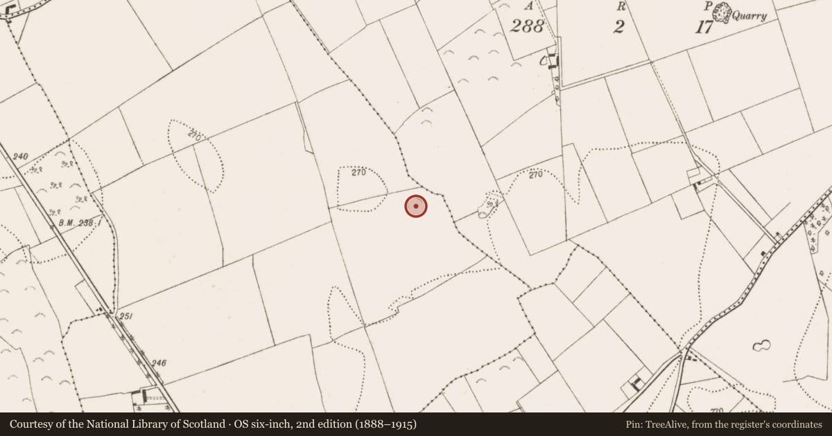 Ordnance Survey six-inch map, 2nd edition (1888–1915) covering the location of Enclosure, Cloghala, County Kilkenny, with a pin at the register's coordinates