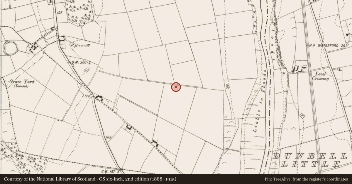 Ordnance Survey six-inch map, 2nd edition (1888–1915) covering the location of Enclosure, Sheastown, County Kilkenny, with a pin at the register's coordinates