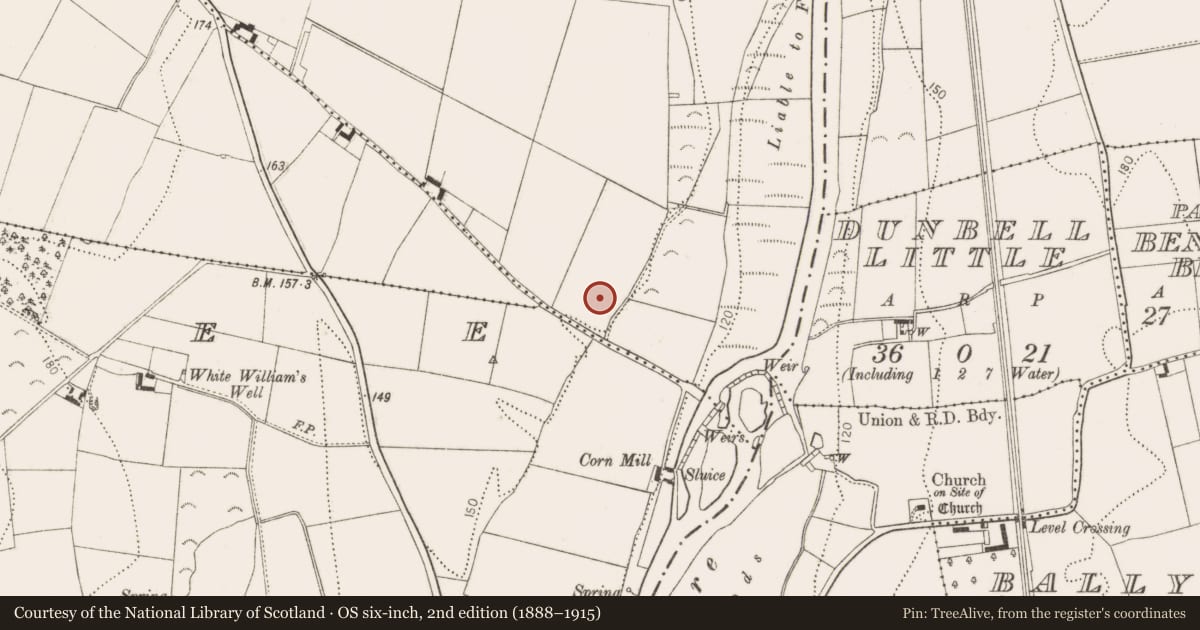 Ordnance Survey six-inch map, 2nd edition (1888–1915) covering the location of Burial, Sheastown, County Kilkenny, with a pin at the register's coordinates