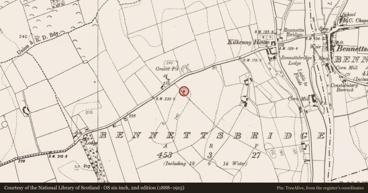 Ordnance Survey six-inch map, 2nd edition (1888–1915) covering the location of Enclosure, Bennettsbridge, County Kilkenny, with a pin at the register's coordinates