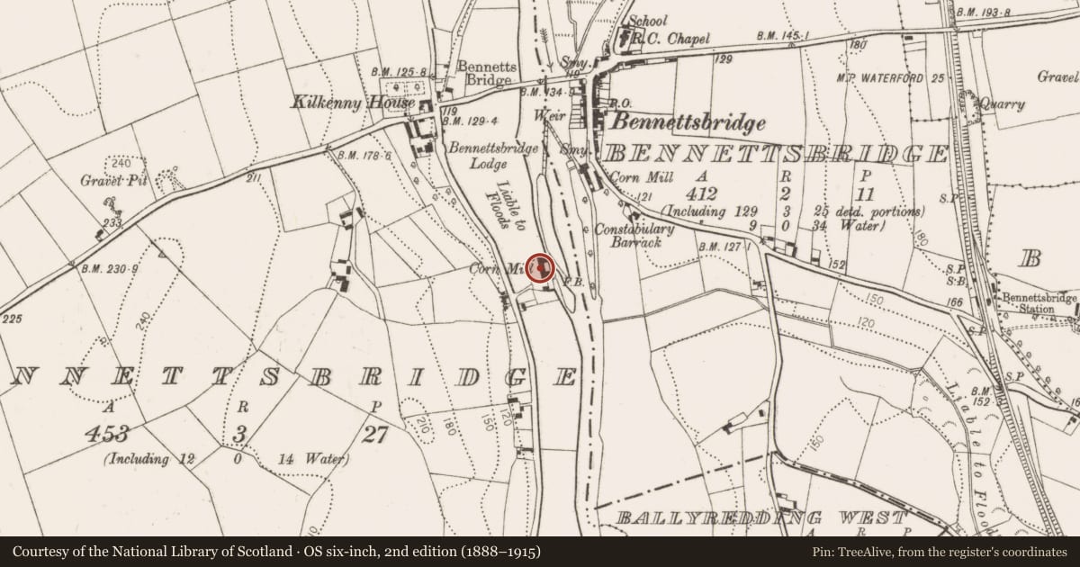Ordnance Survey six-inch map, 2nd edition (1888–1915) covering the location of Water mill - unclassified, Bennettsbridge, County Kilkenny, with a pin at the register's coordinates