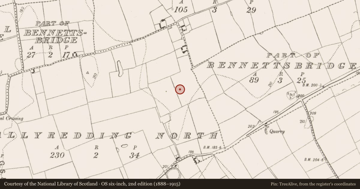 Ordnance Survey six-inch map, 2nd edition (1888–1915) covering the location of Enclosure, Ballyredding North, County Kilkenny, with a pin at the register's coordinates