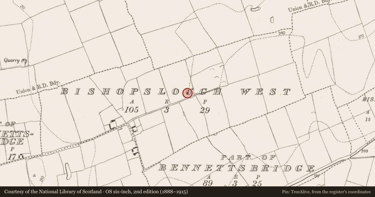 Ordnance Survey six-inch map, 2nd edition (1888–1915) covering the location of Fulacht fia, Bishopslough West, County Kilkenny, with a pin at the register's coordinates