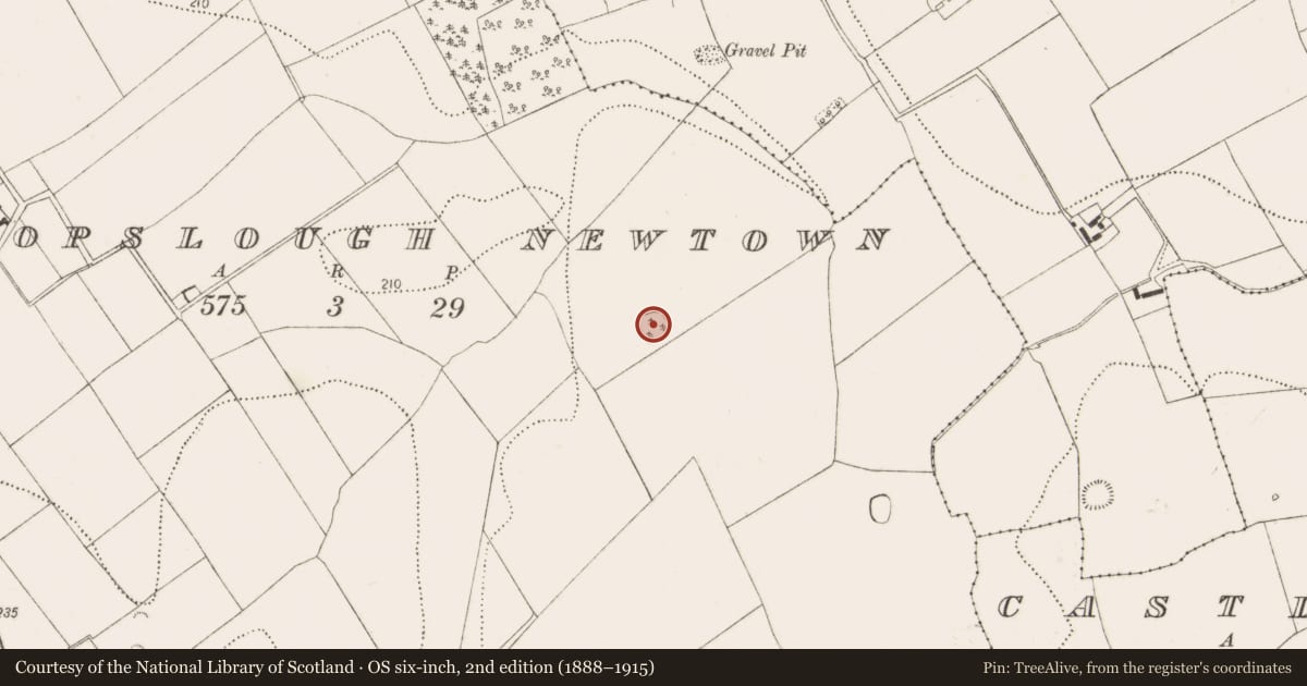 Ordnance Survey six-inch map, 2nd edition (1888–1915) covering the location of Enclosure, Bishopslough Newtown, County Kilkenny, with a pin at the register's coordinates