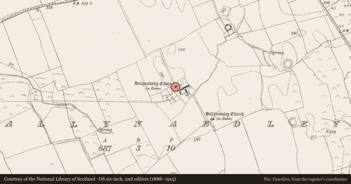 Ordnance Survey six-inch map, 2nd edition (1888–1915) covering the location of Castle - tower house, Ballynaboley, County Kilkenny, with a pin at the register's coordinates