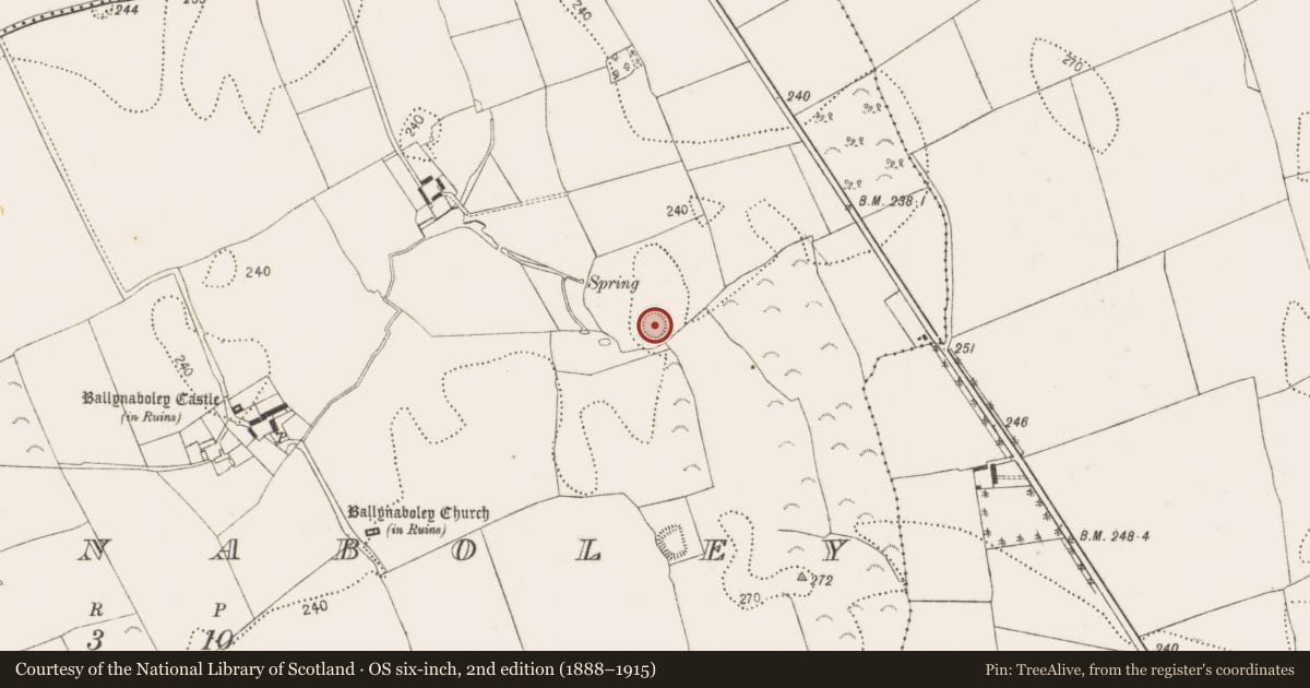 Ordnance Survey six-inch map, 2nd edition (1888–1915) covering the location of Enclosure, Ballynaboley, County Kilkenny, with a pin at the register's coordinates