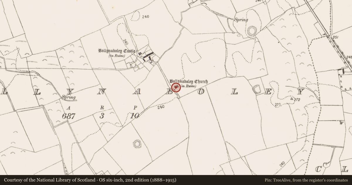 Ordnance Survey six-inch map, 2nd edition (1888–1915) covering the location of Church, Ballynaboley, County Kilkenny, with a pin at the register's coordinates