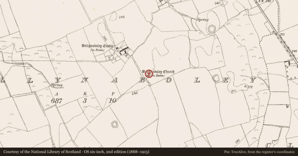 Ordnance Survey six-inch map, 2nd edition (1888–1915) covering the location of Graveyard, Ballynaboley, County Kilkenny, with a pin at the register's coordinates