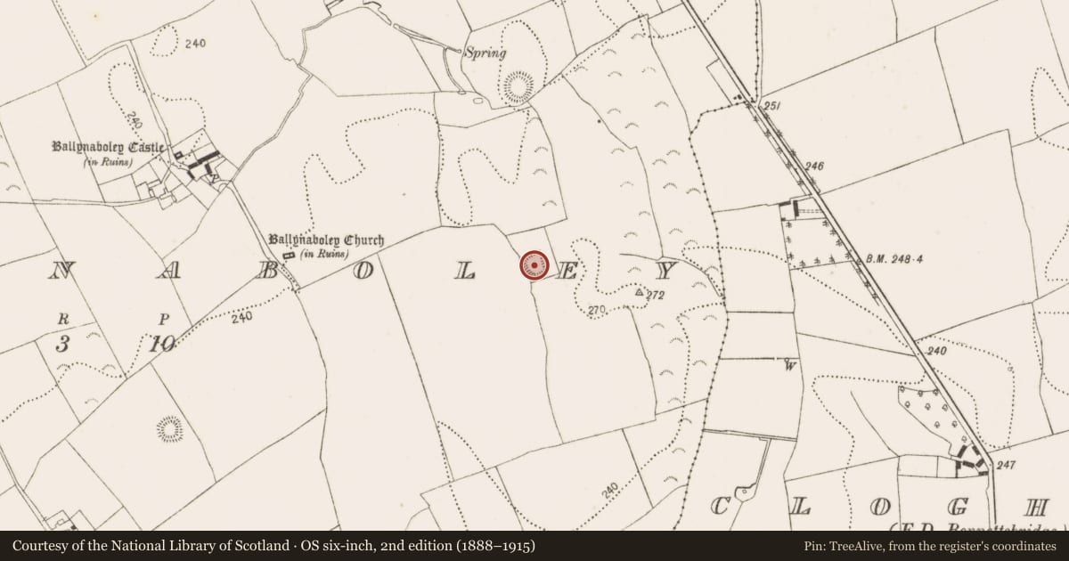 Ordnance Survey six-inch map, 2nd edition (1888–1915) covering the location of Moated site, Ballynaboley, County Kilkenny, with a pin at the register's coordinates