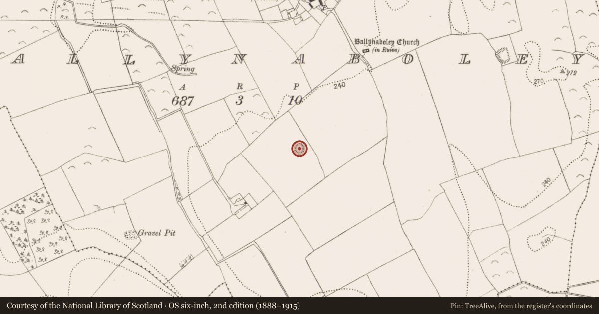 Ordnance Survey six-inch map, 2nd edition (1888–1915) covering the location of Ringfort - rath, Ballynaboley, County Kilkenny, with a pin at the register's coordinates