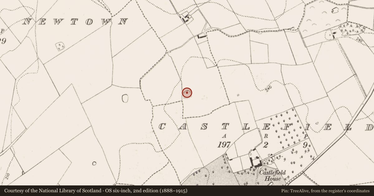 Ordnance Survey six-inch map, 2nd edition (1888–1915) covering the location of Enclosure, Ballynaboley, County Kilkenny, with a pin at the register's coordinates