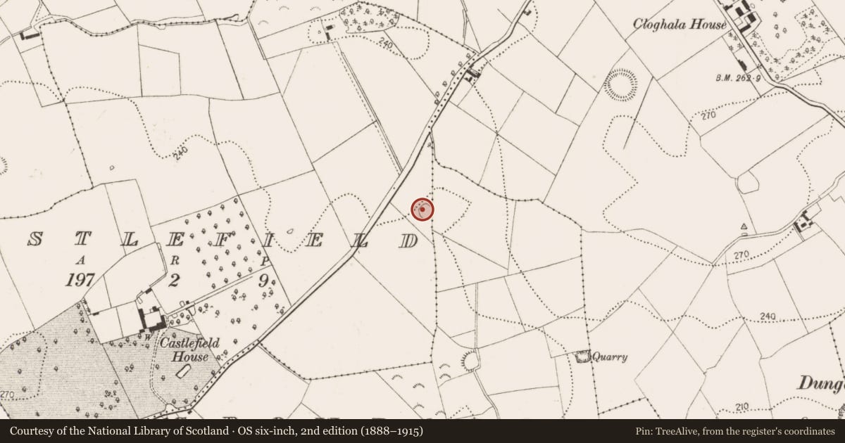 Ordnance Survey six-inch map, 2nd edition (1888–1915) covering the location of Enclosure, Castlefield, County Kilkenny, with a pin at the register's coordinates