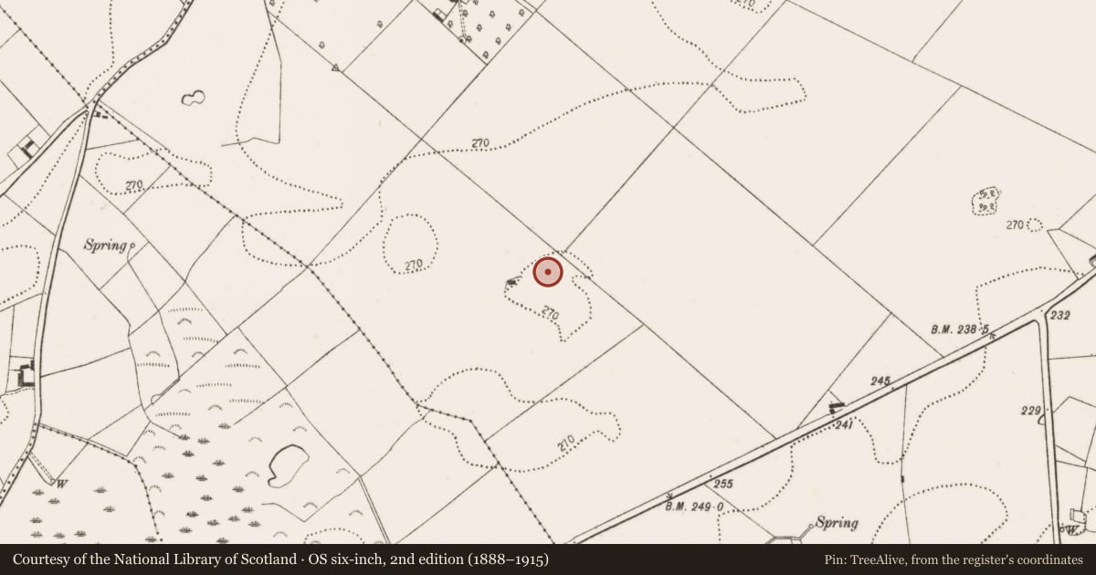 Ordnance Survey six-inch map, 2nd edition (1888–1915) covering the location of Enclosure, Bramblestown, County Kilkenny, with a pin at the register's coordinates