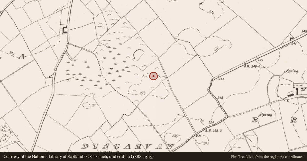 Ordnance Survey six-inch map, 2nd edition (1888–1915) covering the location of Enclosure, Dungarvan, County Kilkenny, with a pin at the register's coordinates