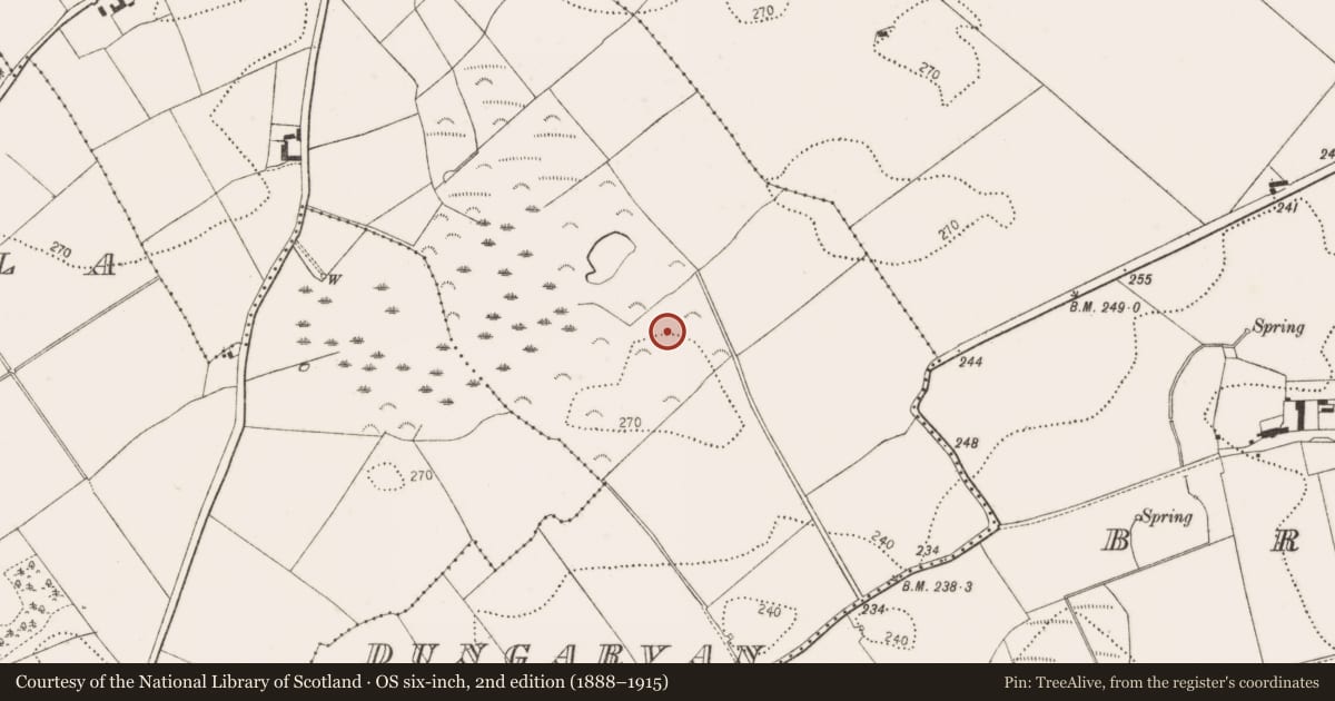 Ordnance Survey six-inch map, 2nd edition (1888–1915) covering the location of Enclosure, Dungarvan, County Kilkenny, with a pin at the register's coordinates