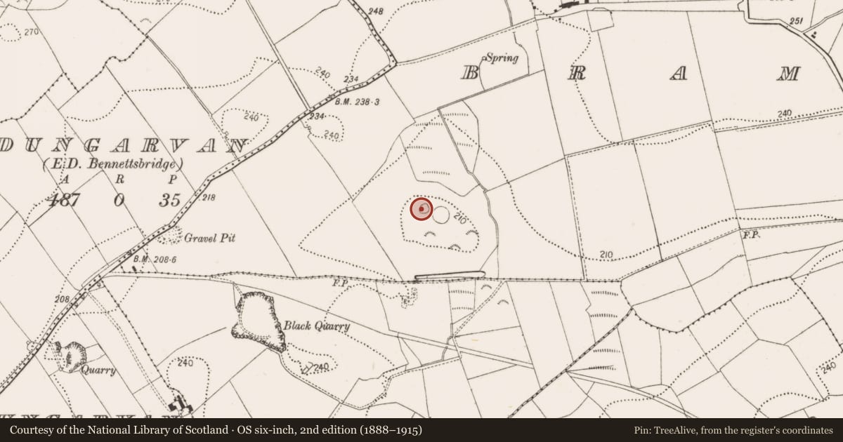 Ordnance Survey six-inch map, 2nd edition (1888–1915) covering the location of Enclosure, Bramblestown, County Kilkenny, with a pin at the register's coordinates