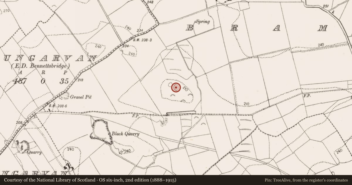 Ordnance Survey six-inch map, 2nd edition (1888–1915) covering the location of Enclosure, Bramblestown, County Kilkenny, with a pin at the register's coordinates