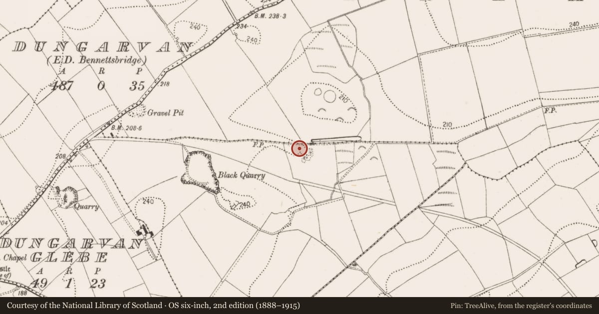 Ordnance Survey six-inch map, 2nd edition (1888–1915) covering the location of Enclosure, Dungarvan, County Kilkenny, with a pin at the register's coordinates