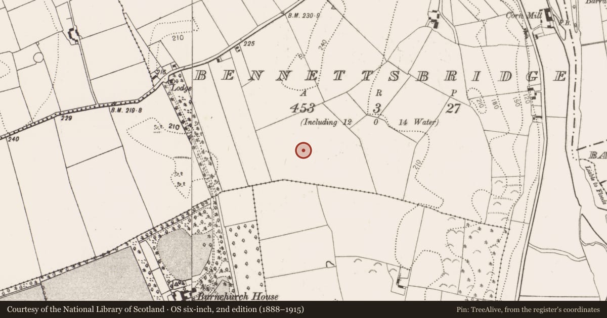 Ordnance Survey six-inch map, 2nd edition (1888–1915) covering the location of Enclosure, Bennettsbridge, County Kilkenny, with a pin at the register's coordinates