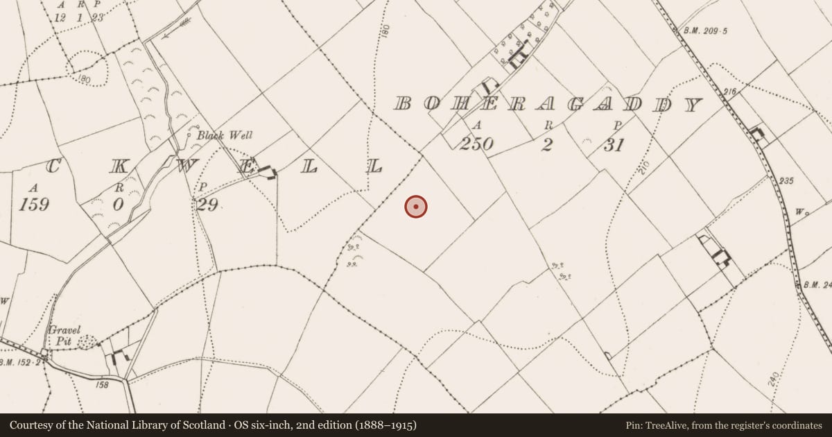 Ordnance Survey six-inch map, 2nd edition (1888–1915) covering the location of Enclosure, Boheragaddy, County Kilkenny, with a pin at the register's coordinates