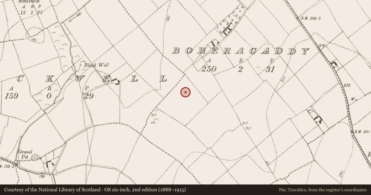 Ordnance Survey six-inch map, 2nd edition (1888–1915) covering the location of Ring-ditch, Boheragaddy, County Kilkenny, with a pin at the register's coordinates
