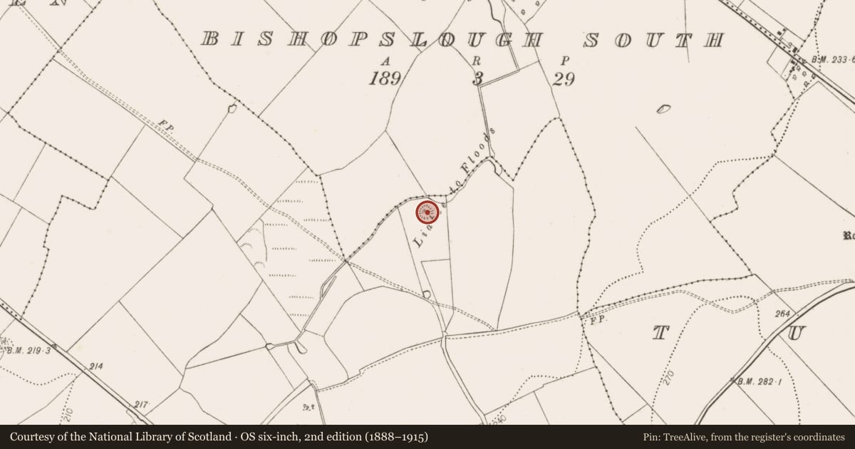 Ordnance Survey six-inch map, 2nd edition (1888–1915) covering the location of Enclosure, Kilbline, County Kilkenny, with a pin at the register's coordinates