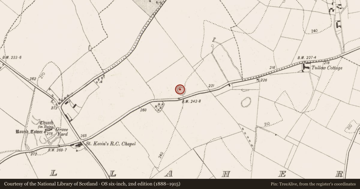 Ordnance Survey six-inch map, 2nd edition (1888–1915) covering the location of Enclosure, Tullaherin, County Kilkenny, with a pin at the register's coordinates