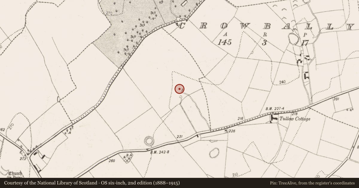 Ordnance Survey six-inch map, 2nd edition (1888–1915) covering the location of Enclosure, Tullaherin, County Kilkenny, with a pin at the register's coordinates