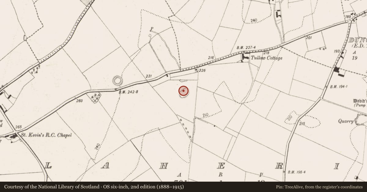 Ordnance Survey six-inch map, 2nd edition (1888–1915) covering the location of Enclosure, Tullaherin, County Kilkenny, with a pin at the register's coordinates