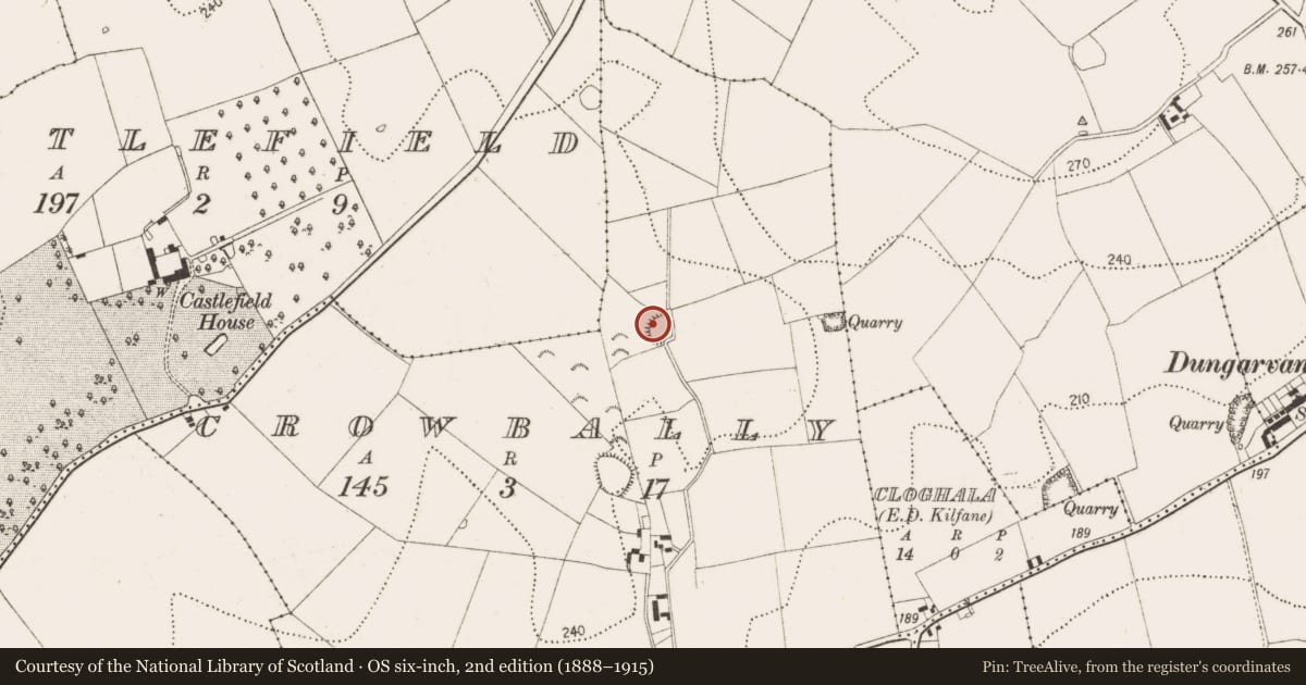 Ordnance Survey six-inch map, 2nd edition (1888–1915) covering the location of Enclosure, Crowbally, County Kilkenny, with a pin at the register's coordinates