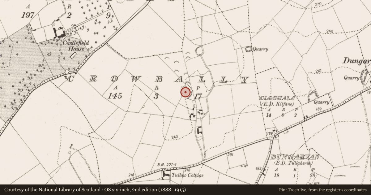 Ordnance Survey six-inch map, 2nd edition (1888–1915) covering the location of Enclosure, Crowbally, County Kilkenny, with a pin at the register's coordinates