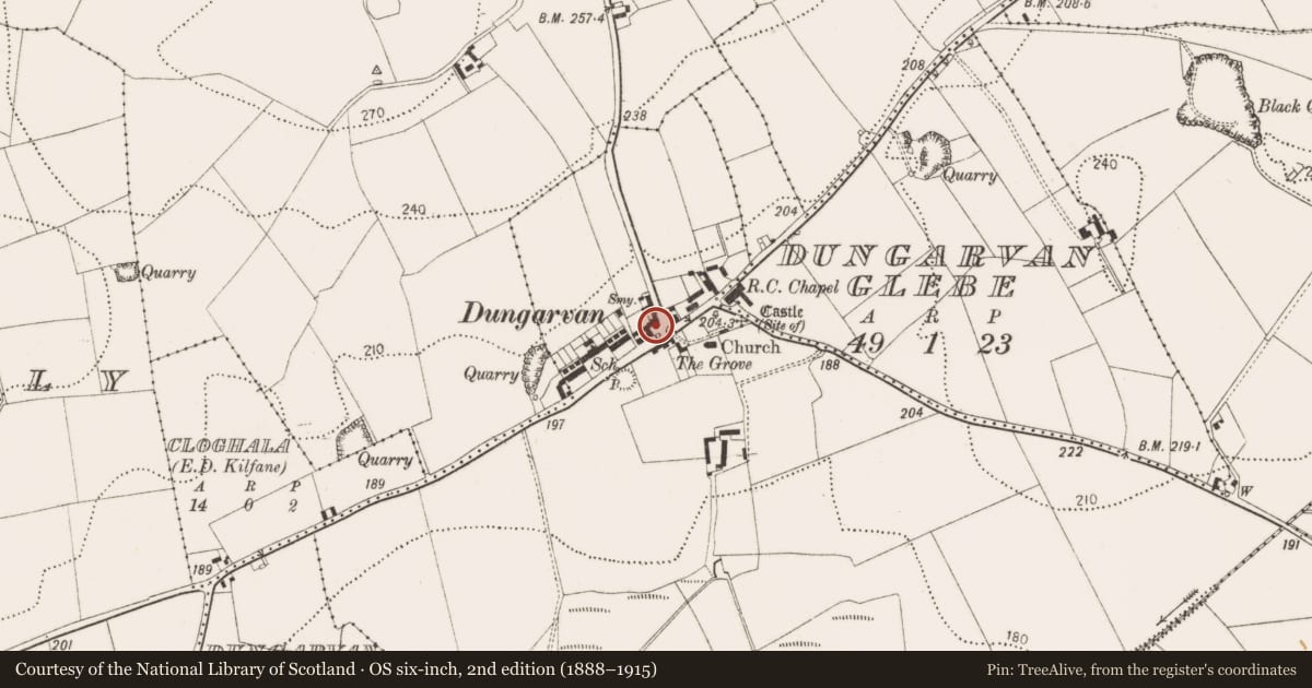 Ordnance Survey six-inch map, 2nd edition (1888–1915) covering the location of Historic town, Dungarvan, Dungarvan Glebe, County Kilkenny, with a pin at the register's coordinates