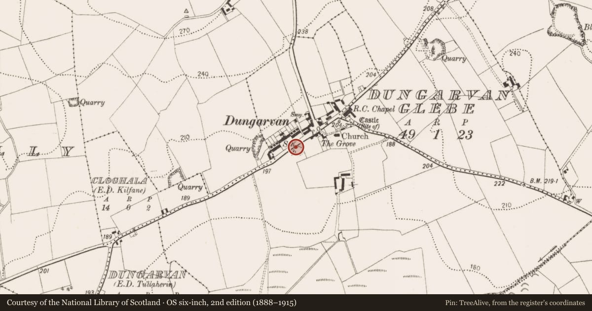 Ordnance Survey six-inch map, 2nd edition (1888–1915) covering the location of Castle - motte, Dungarvan, County Kilkenny, with a pin at the register's coordinates