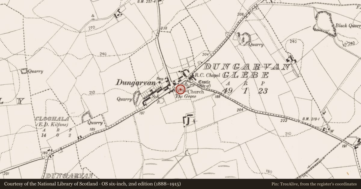 Ordnance Survey six-inch map, 2nd edition (1888–1915) covering the location of Tomb - effigial, Dungarvan, County Kilkenny, with a pin at the register's coordinates