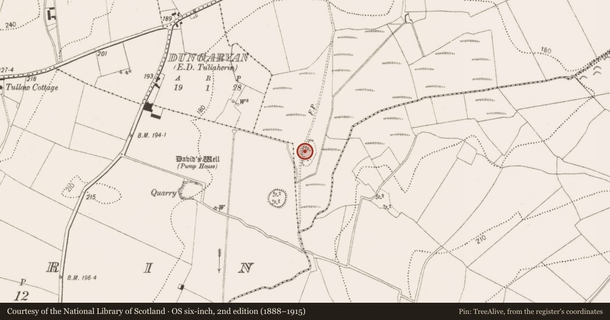 Ordnance Survey six-inch map, 2nd edition (1888–1915) covering the location of Enclosure, Dungarvan, County Kilkenny, with a pin at the register's coordinates
