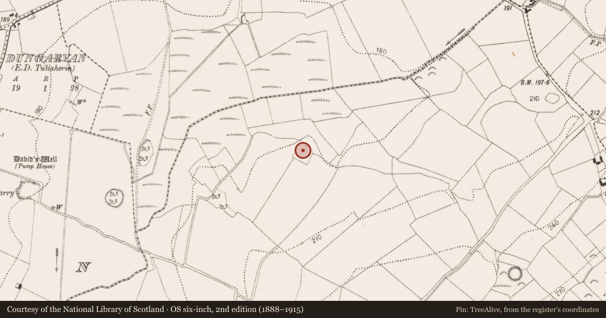 Ordnance Survey six-inch map, 2nd edition (1888–1915) covering the location of Enclosure, Kilmanaheen, County Kilkenny, with a pin at the register's coordinates