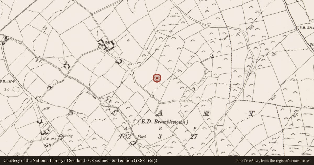 Ordnance Survey six-inch map, 2nd edition (1888–1915) covering the location of Enclosure, Scart, County Kilkenny, with a pin at the register's coordinates