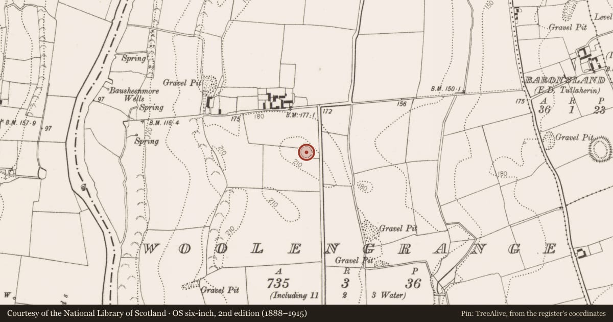 Ordnance Survey six-inch map, 2nd edition (1888–1915) covering the location of Enclosure, Woolengrange, County Kilkenny, with a pin at the register's coordinates