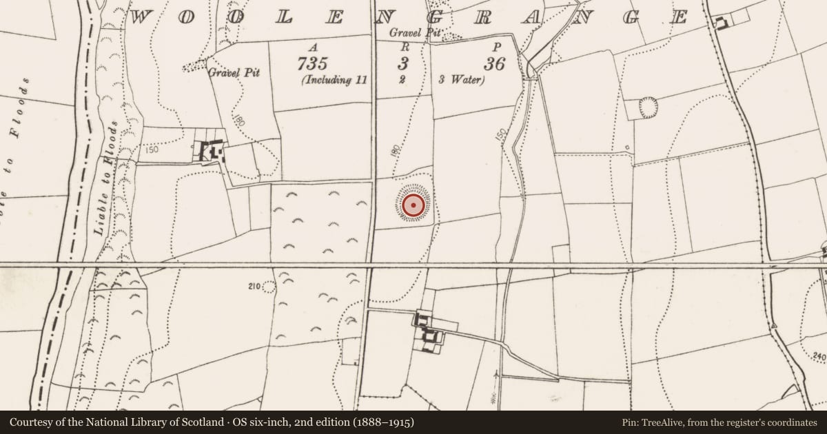 Ordnance Survey six-inch map, 2nd edition (1888–1915) covering the location of Enclosure, Woolengrange, County Kilkenny, with a pin at the register's coordinates