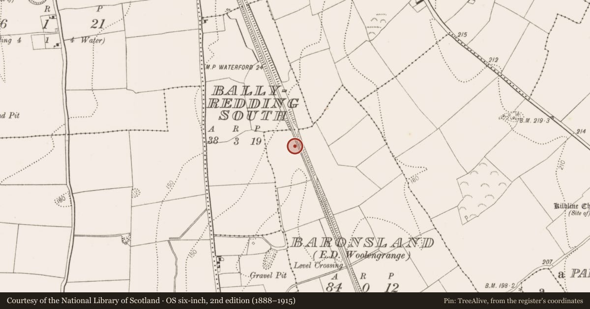 Ordnance Survey six-inch map, 2nd edition (1888–1915) covering the location of Enclosure, Baronsland, County Kilkenny, with a pin at the register's coordinates