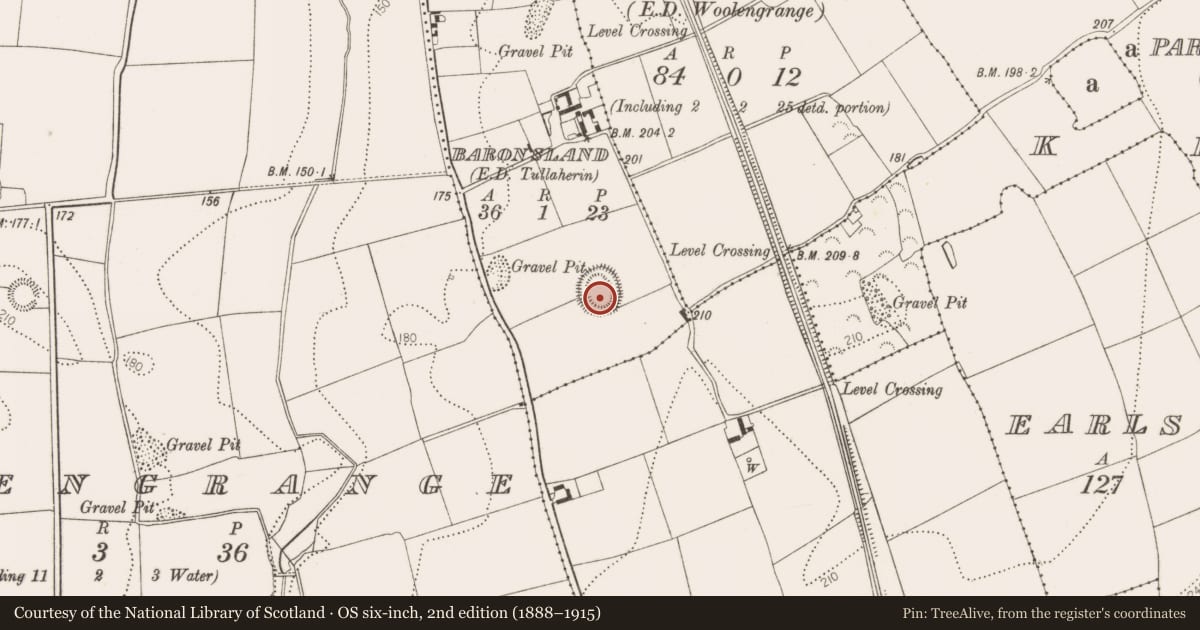 Ordnance Survey six-inch map, 2nd edition (1888–1915) covering the location of Souterrain, Baronsland, County Kilkenny, with a pin at the register's coordinates